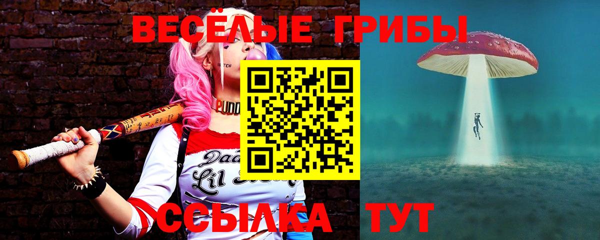 что такое   Галлюциногенные грибы прущие грибы  Вход с VPN  Великие Луки 